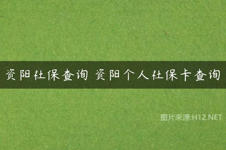 资阳社保查询 资阳个人社保卡查询