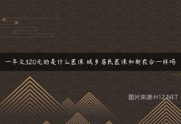 一年交320元的是什么医保 城乡居民医保和新农合一样吗
