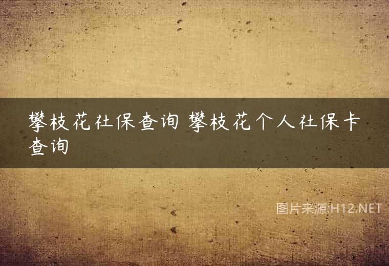攀枝花社保查询 攀枝花个人社保卡查询