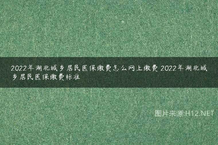 2022年湖北城乡居民医保缴费怎么网上缴费 2022年湖北城乡居民医保缴费标准