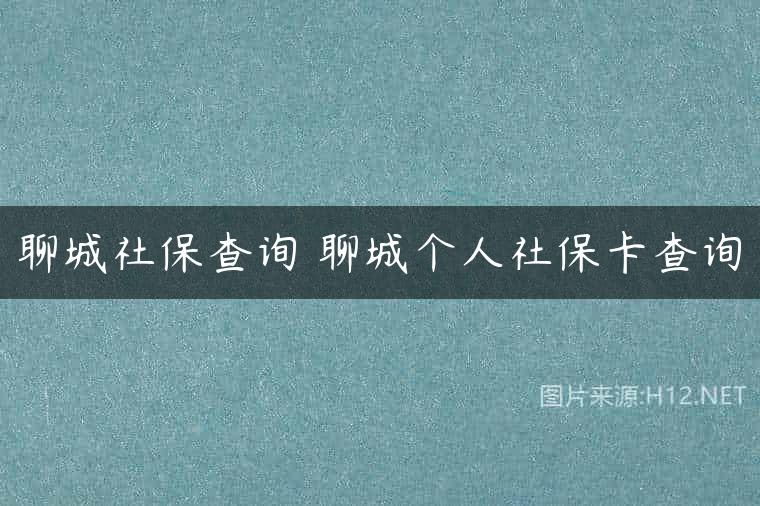 聊城社保查询 聊城个人社保卡查询