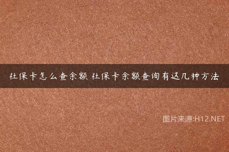 社保卡怎么查余额 社保卡余额查询有这几种方法