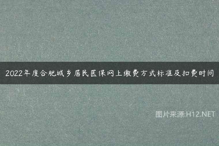 2022年度合肥城乡居民医保网上缴费方式标准及扣费时间