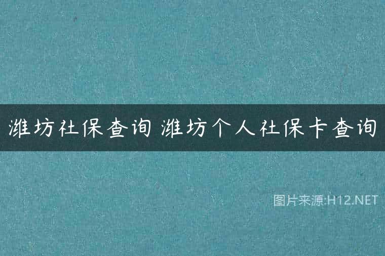 潍坊社保查询 潍坊个人社保卡查询