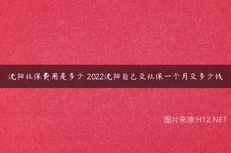 沈阳社保费用是多少 2022沈阳自己交社保一个月交多少钱