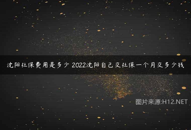 沈阳社保费用是多少 2022沈阳自己交社保一个月交多少钱