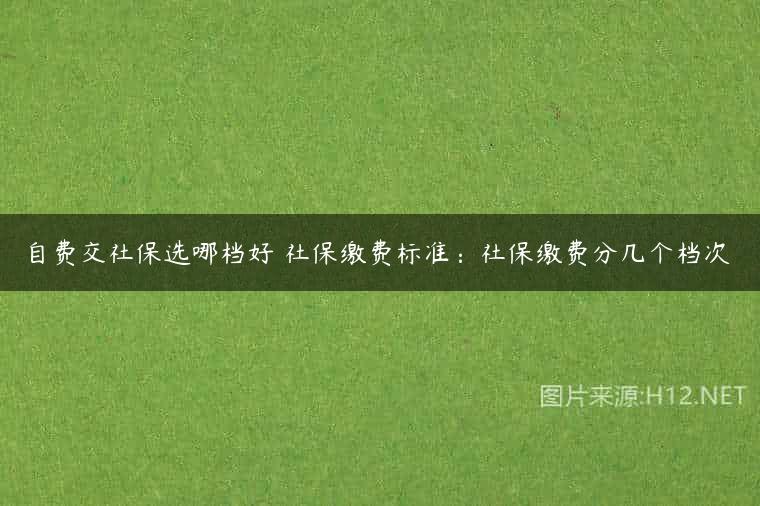 自费交社保选哪档好 社保缴费标准：社保缴费分几个档次