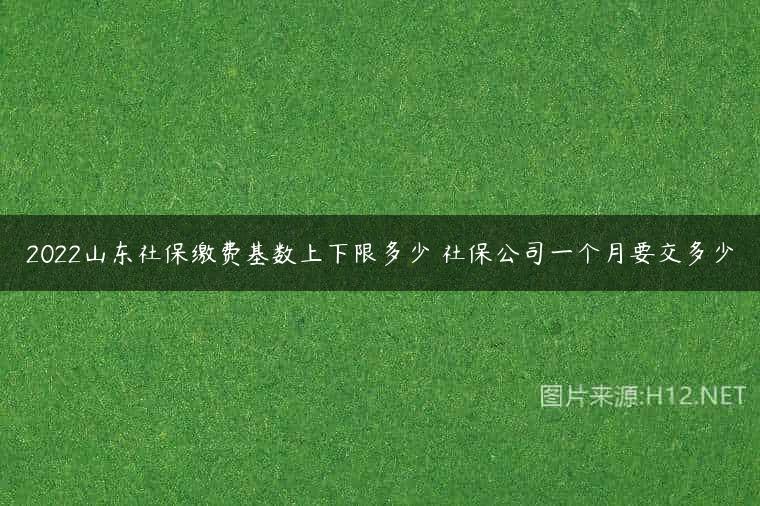 2022山东社保缴费基数上下限多少 社保公司一个月要交多少