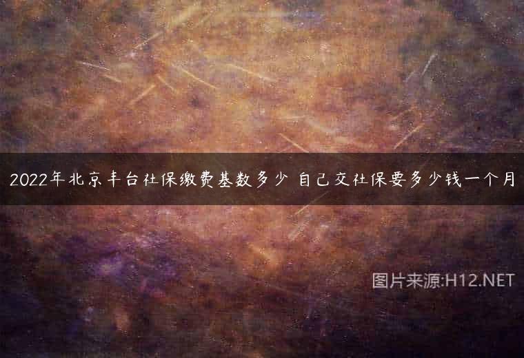 2022年北京丰台社保缴费基数多少 自己交社保要多少钱一个月