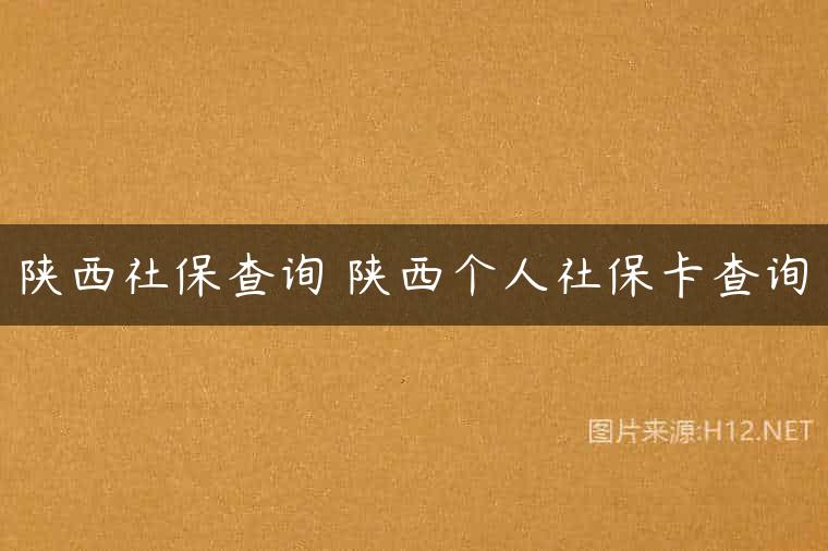 陕西社保查询 陕西个人社保卡查询