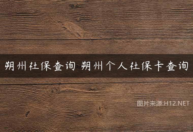 朔州社保查询 朔州个人社保卡查询