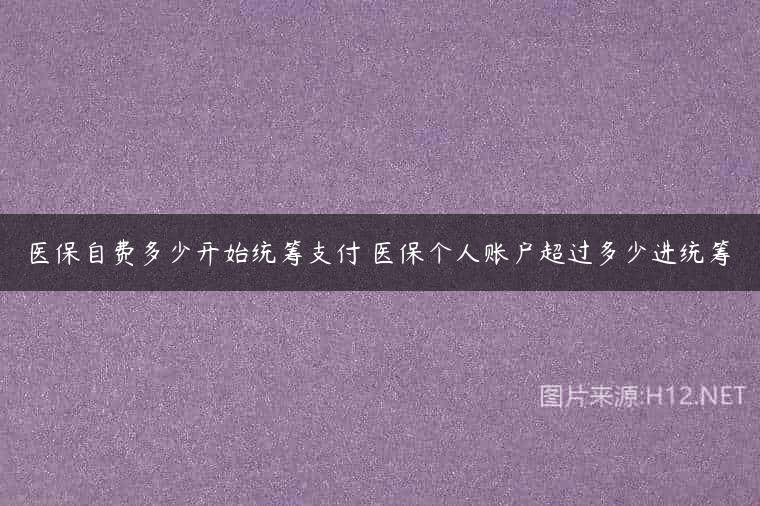 医保自费多少开始统筹支付 医保个人账户超过多少进统筹