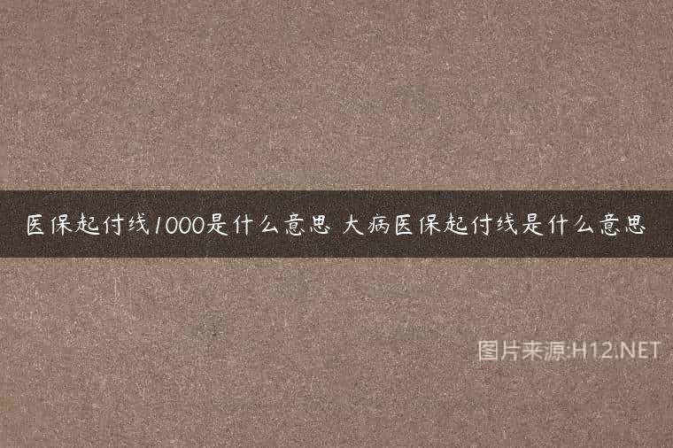 医保起付线1000是什么意思 大病医保起付线是什么意思