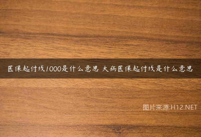 医保起付线1000是什么意思 大病医保起付线是什么意思
