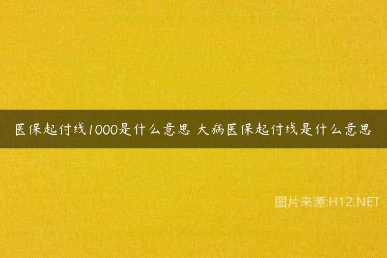 医保起付线1000是什么意思 大病医保起付线是什么意思