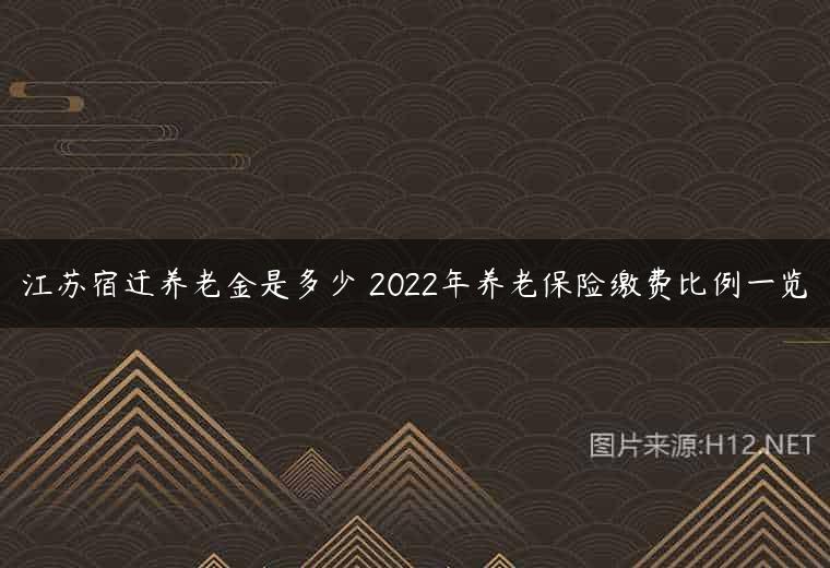 江苏宿迁养老金是多少 2022年养老保险缴费比例一览