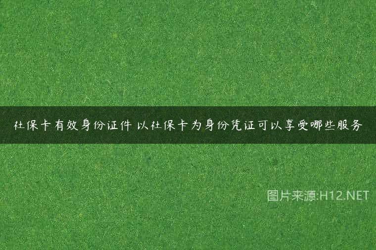 社保卡有效身份证件 以社保卡为身份凭证可以享受哪些服务