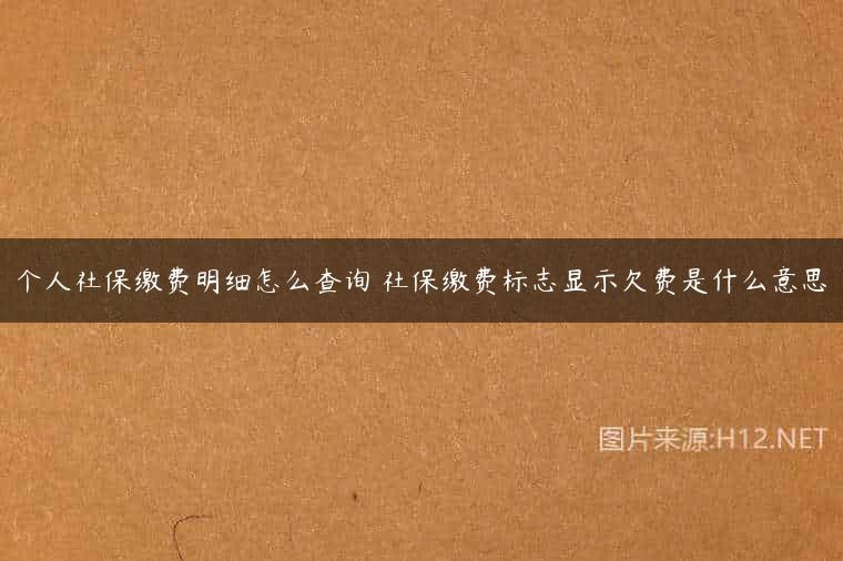 个人社保缴费明细怎么查询 社保缴费标志显示欠费是什么意思
