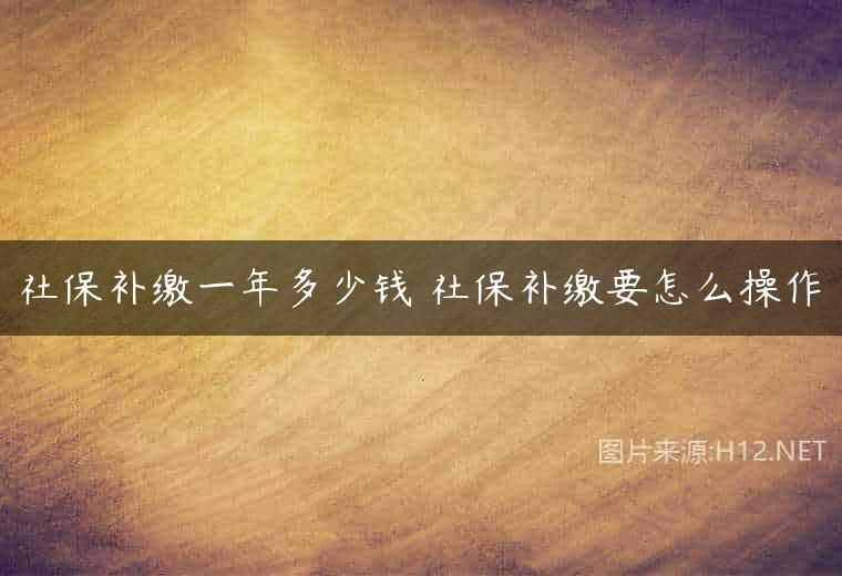 社保补缴一年多少钱 社保补缴要怎么操作