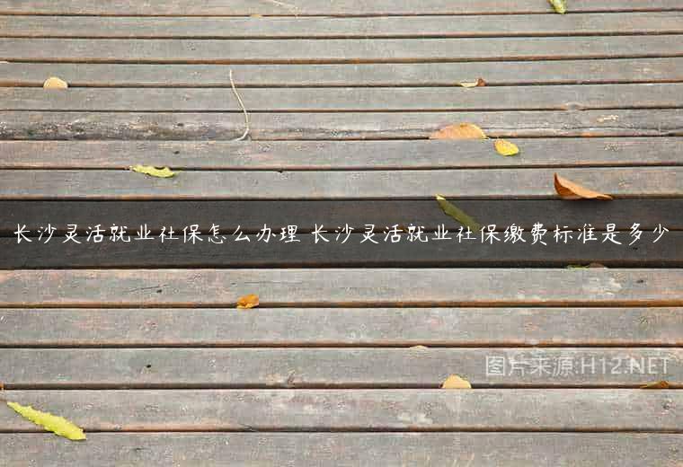 长沙灵活就业社保怎么办理 长沙灵活就业社保缴费标准是多少