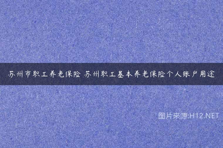 苏州市职工养老保险 苏州职工基本养老保险个人账户用途