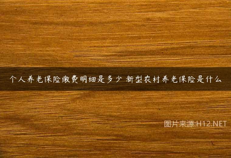 个人养老保险缴费明细是多少 新型农村养老保险是什么