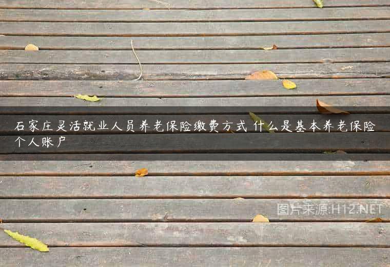 石家庄灵活就业人员养老保险缴费方式 什么是基本养老保险个人账户