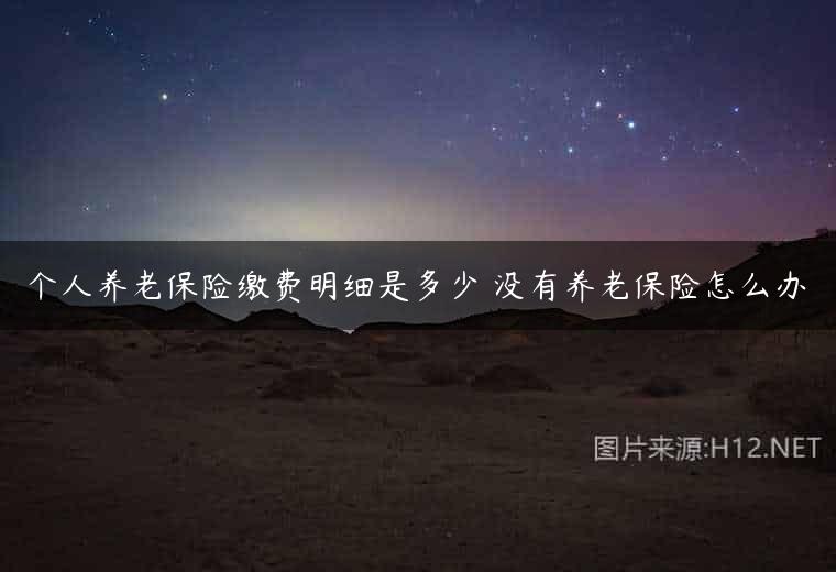 个人养老保险缴费明细是多少 没有养老保险怎么办