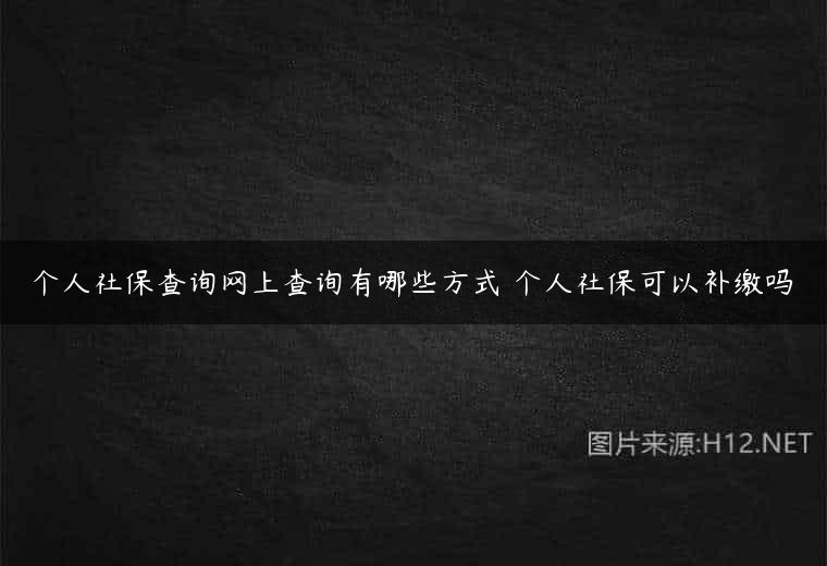 个人社保查询网上查询有哪些方式 个人社保可以补缴吗