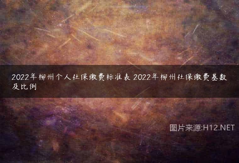 2022年柳州个人社保缴费标准表 2022年柳州社保缴费基数及比例