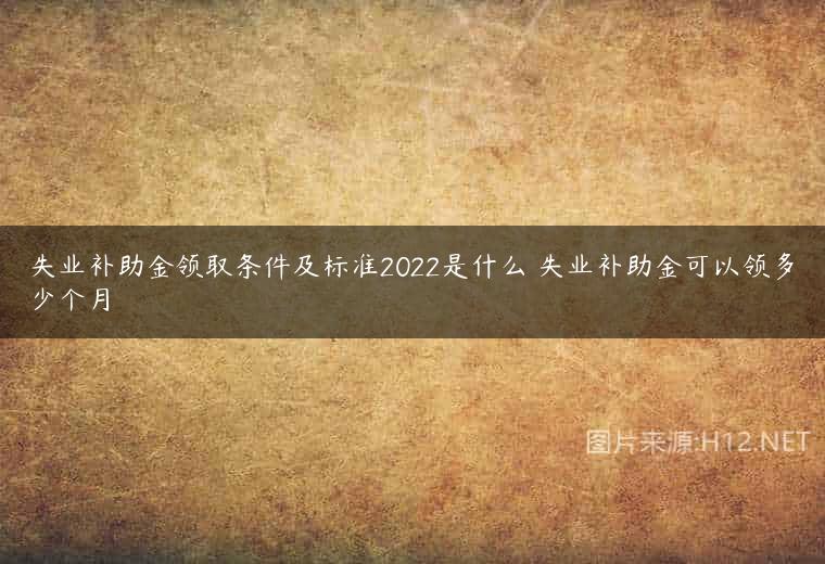 失业补助金领取条件及标准2022是什么 失业补助金可以领多少个月