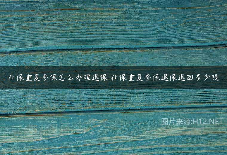 社保重复参保怎么办理退保 社保重复参保退保退回多少钱