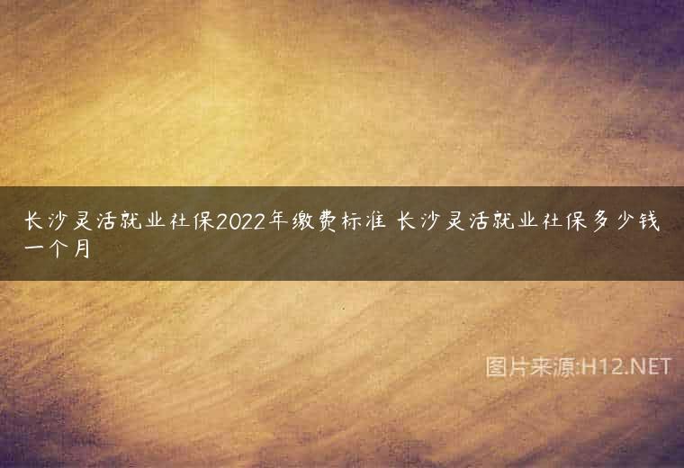 长沙灵活就业社保2022年缴费标准 长沙灵活就业社保多少钱一个月