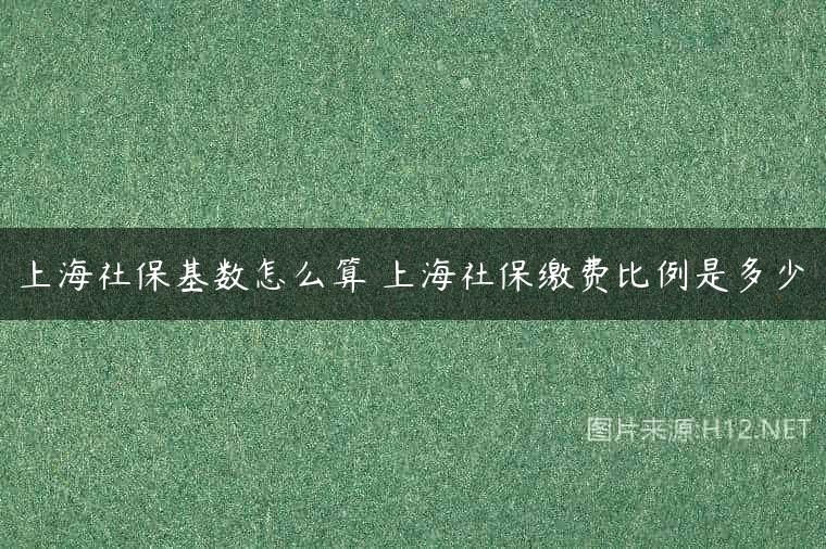 上海社保基数怎么算 上海社保缴费比例是多少