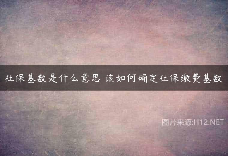 社保基数是什么意思 该如何确定社保缴费基数