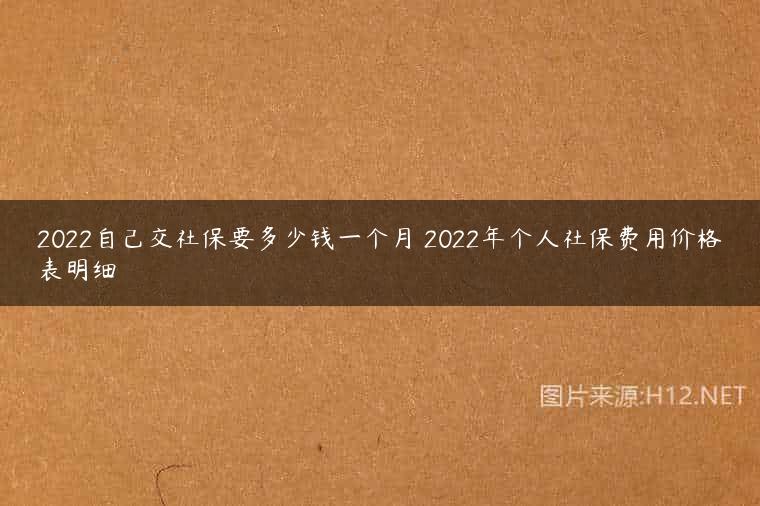 2022自己交社保要多少钱一个月 2022年个人社保费用价格表明细