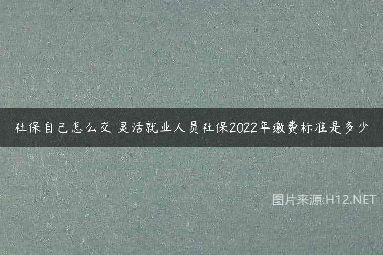 社保自己怎么交 灵活就业人员社保2022年缴费标准是多少