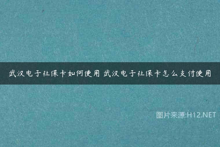 武汉电子社保卡如何使用 武汉电子社保卡怎么支付使用