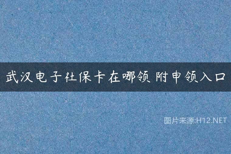 武汉电子社保卡在哪领 附申领入口
