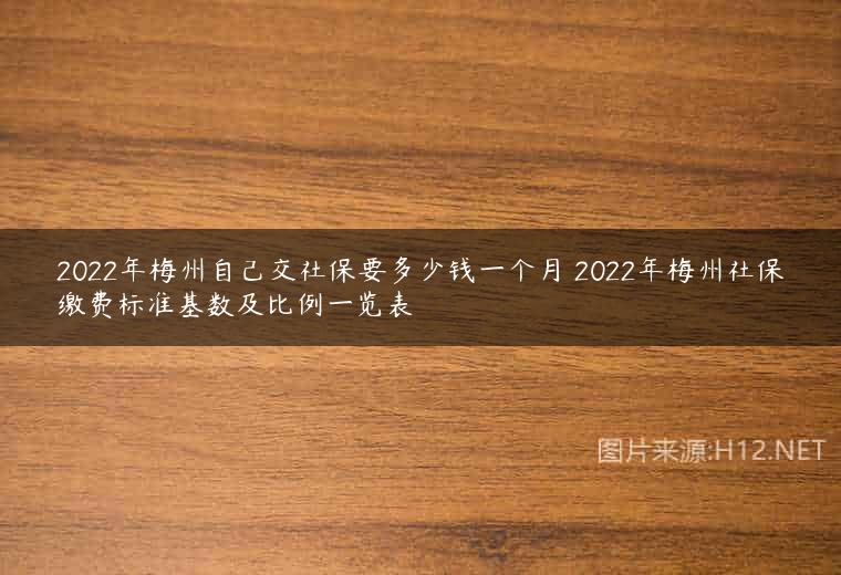 2022年梅州自己交社保要多少钱一个月 2022年梅州社保缴费标准基数及比例一览表