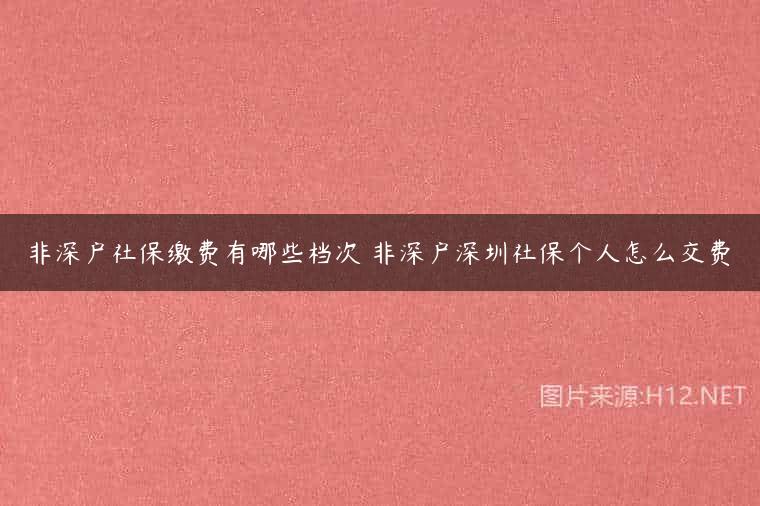 非深户社保缴费有哪些档次 非深户深圳社保个人怎么交费