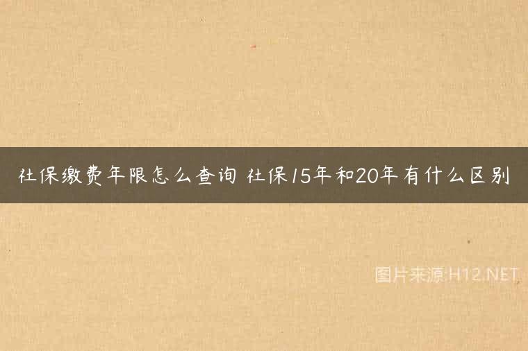 社保缴费年限怎么查询 社保15年和20年有什么区别