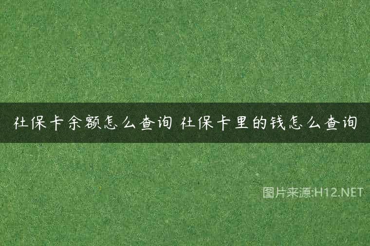 社保卡余额怎么查询 社保卡里的钱怎么查询