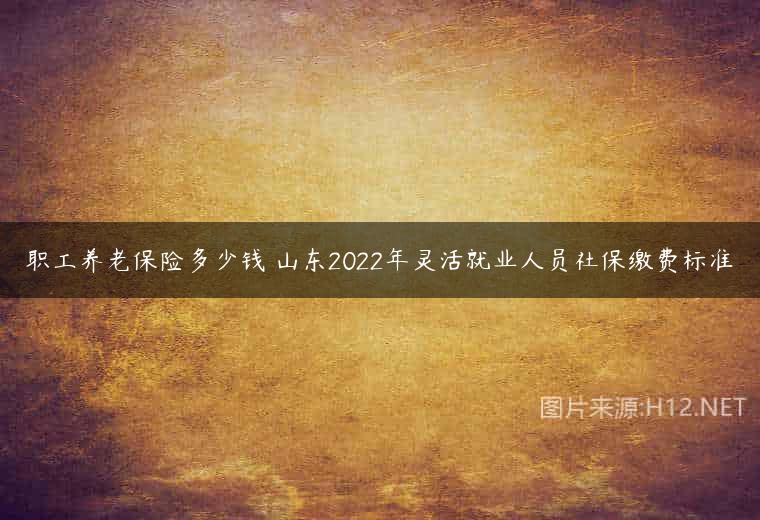 职工养老保险多少钱 山东2022年灵活就业人员社保缴费标准