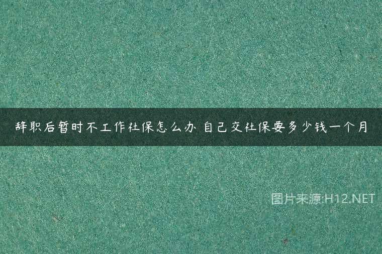 辞职后暂时不工作社保怎么办 自己交社保要多少钱一个月