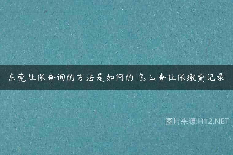 东莞社保查询的方法是如何的 怎么查社保缴费记录