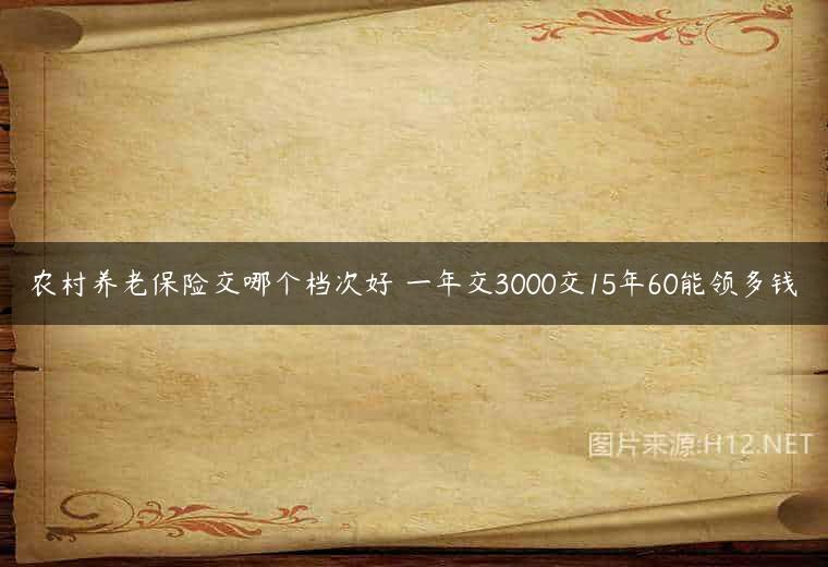 农村养老保险交哪个档次好 一年交3000交15年60能领多钱