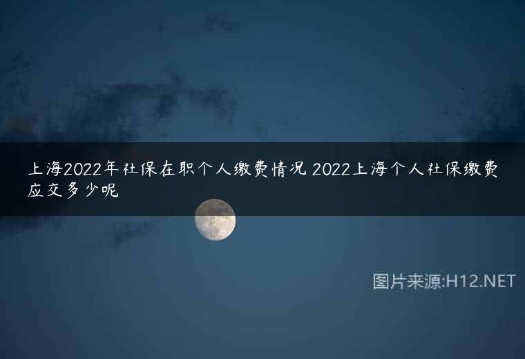 上海2022年社保在职个人缴费情况 2022上海个人社保缴费应交多少呢