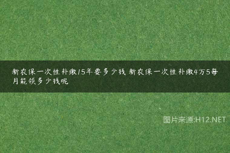 新农保一次性补缴15年要多少钱 新农保一次性补缴4万5每月能领多少钱呢