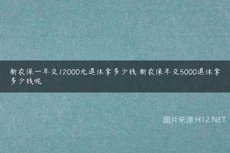 新农保一年交12000元退休拿多少钱 新农保年交5000退休拿多少钱呢